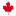 vncic.com