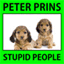 iampeterprins.bandcamp.com