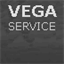 vegaservice.biz
