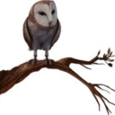 the-owl.tumblr.com