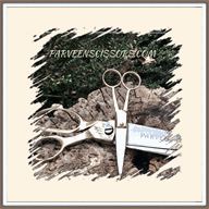 parveenscissors.com