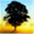 lendasdoexilio.wordpress.com