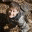 jerrydgreer.wordpress.com