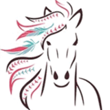 patersonstudio.com