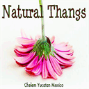 naturalthangs.com