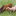 therapaws-online.ca