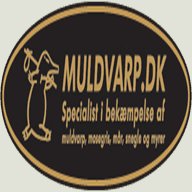 multimediafaq.com