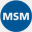 msmgroup.ch