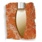 jinjianghotels.com.cn