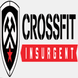 crossfitinsurgent.com