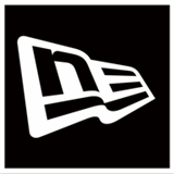 newfxlabs.com