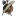 gregoryfoxmurphy.com
