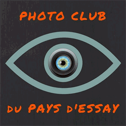 clubphotoessay.over-blog.com
