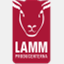 lammproducenterna.se