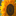 luiereninfrankrijk.com