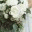 primoflora.com
