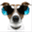 thejigglybits.com