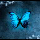 39butterflies.tumblr.com