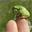 biotiful.over-blog.com