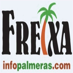 infopalmeras.com