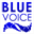 bluevoiceenterprises.com