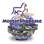 morganstallionshowcase.com