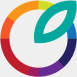 paydayusadirect-1.net