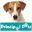 principalpets.co.uk