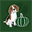 steirische-beagle.at