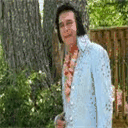 elvislostbrother.com