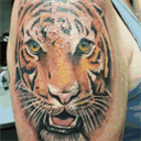 luisdefrutos.com
