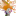 eyeoftheeagle.net