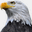 eaglerev.com