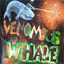 venomouswhale.bandcamp.com