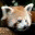 laparoledupanda.wordpress.com