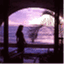 captivedreamswindow.wordpress.com
