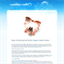 cookiecutterguide.sitew.org