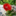junyumemakura.wordpress.com