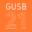 gusb21.de
