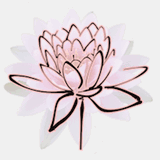 gravidanzaconsapevole.org