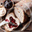 patchworkfarmbakery.com