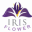 iris-flowers.co.il