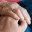 checkincalls.wordpress.com