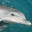 planetprotect.wordpress.com