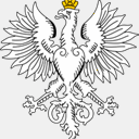 narodowikonserwatysci.pl