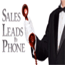 salesleadsbyphone.com