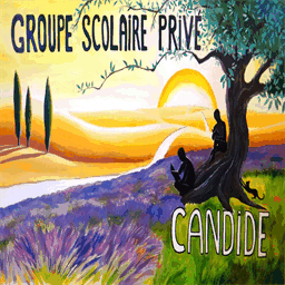 associationcandide.com