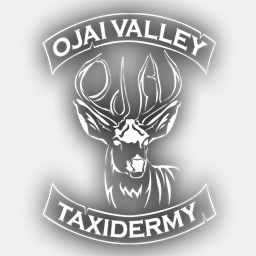 ojaitaxidermy.com