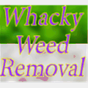 whackyweedremoval.com