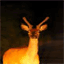 aure-cerf78.over-blog.com